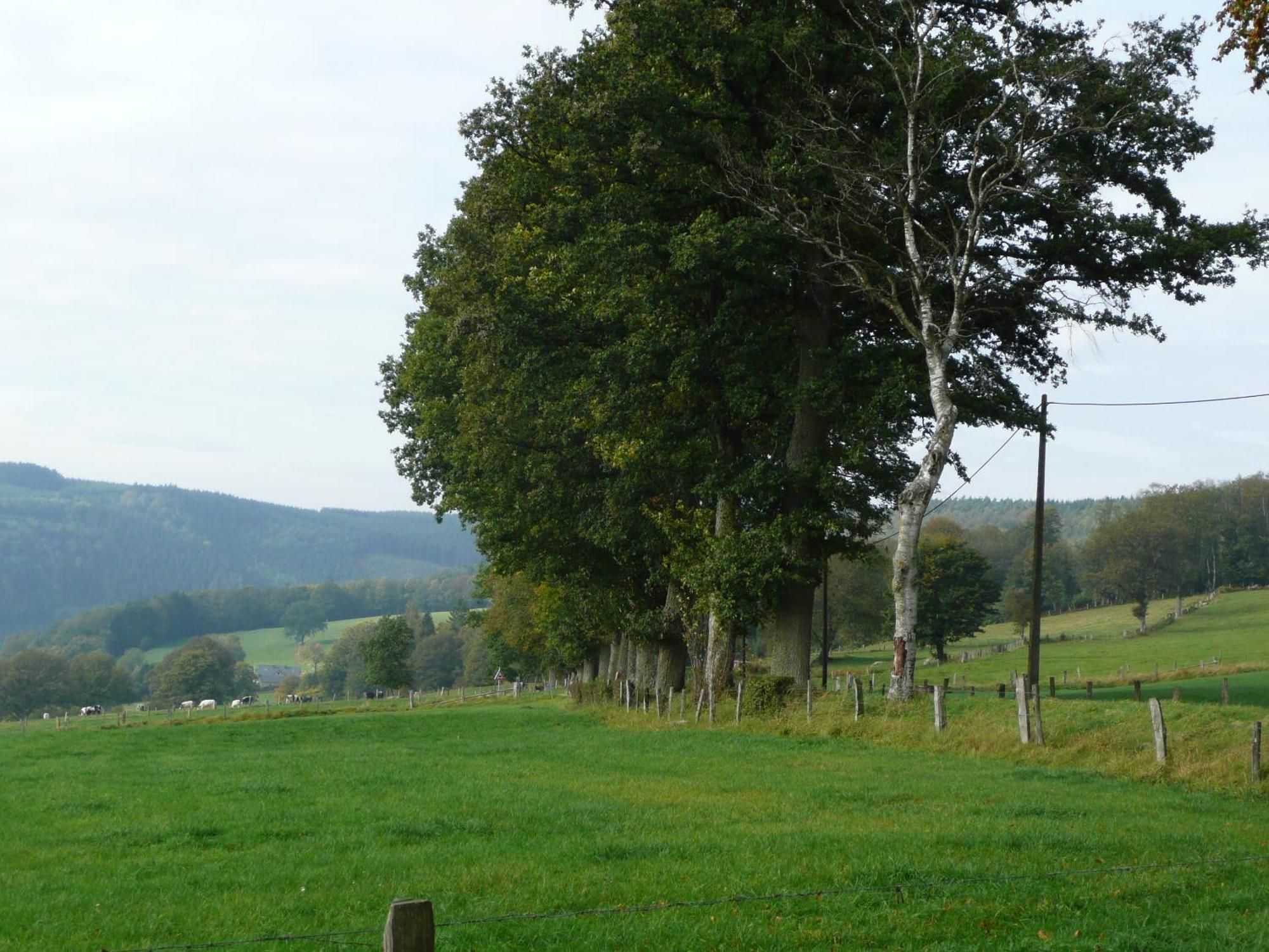Le Fournil Gite Rural Trois-Ponts Exterior foto